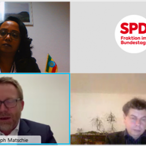 Deputy head of mission, participated in an online panel discussion on the current situation in Ethiopia