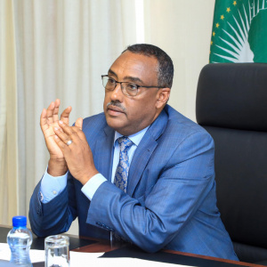 Deputy Prime Minister and Foreign Minister Demeke Mekonnen calls on the Ethiopian Diaspora and missions for more cooperation