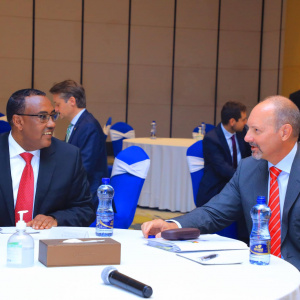 #Ethiopia and #EuropeanUnion hold annual Political Consultation