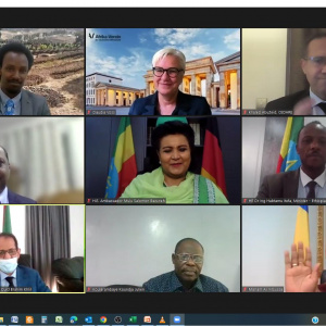 Africa Day panel webinar on “Climate Change and Consequences on food security in Africa” concludes