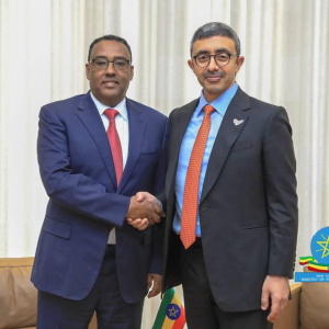 DPM and FM Demeke: Ethiopia commits itself to scale up ties with #UAE, #EU, #ICRC