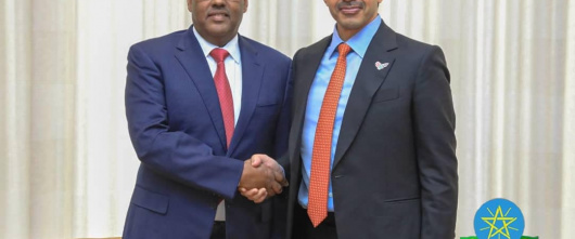 DPM and FM Demeke: Ethiopia commits itself to scale up ties with #UAE, #EU, #ICRC
