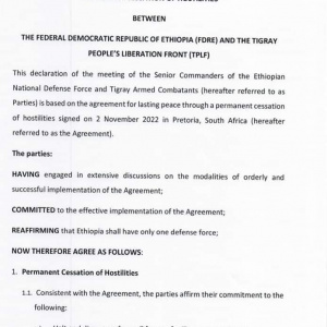 The Declaration of the Senior Commanders [of the Government of the Federal Democratic Republic of Ethiopia and the TPLF] on the modalities for the implementation of the agreement for lasting peace through a Permanent Cessation of Hostilities.